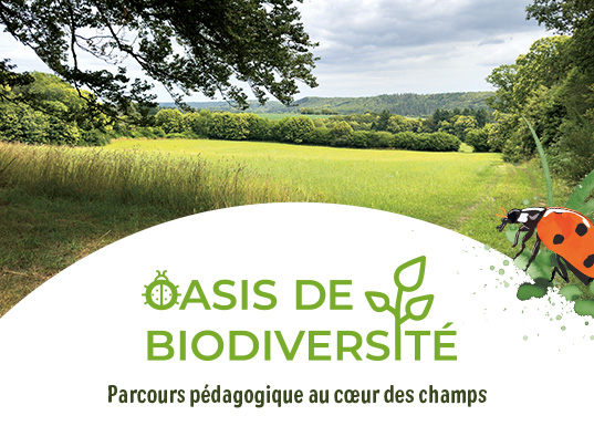 Oasis de Biodiversité